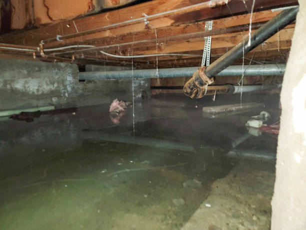 Best Commercial water damage restoration  in Wytheville, VA