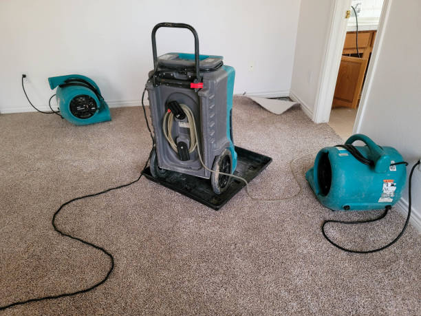 Best Water damage contractors near me  in Wytheville, VA