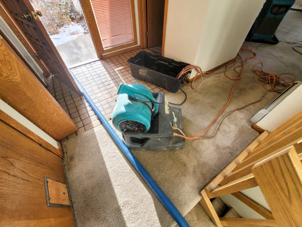 Best Water damage restoration near me  in Wytheville, VA