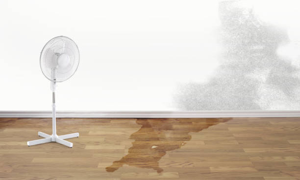 Best Water damage cleanup near me  in Wytheville, VA