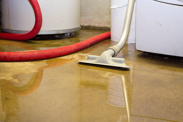 Best Basement water damage restoration  in Wytheville, VA