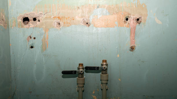 Best Water damage restoration near me  in Wytheville, VA