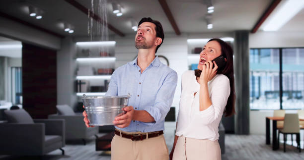 Best Flooded house restoration  in Wytheville, VA